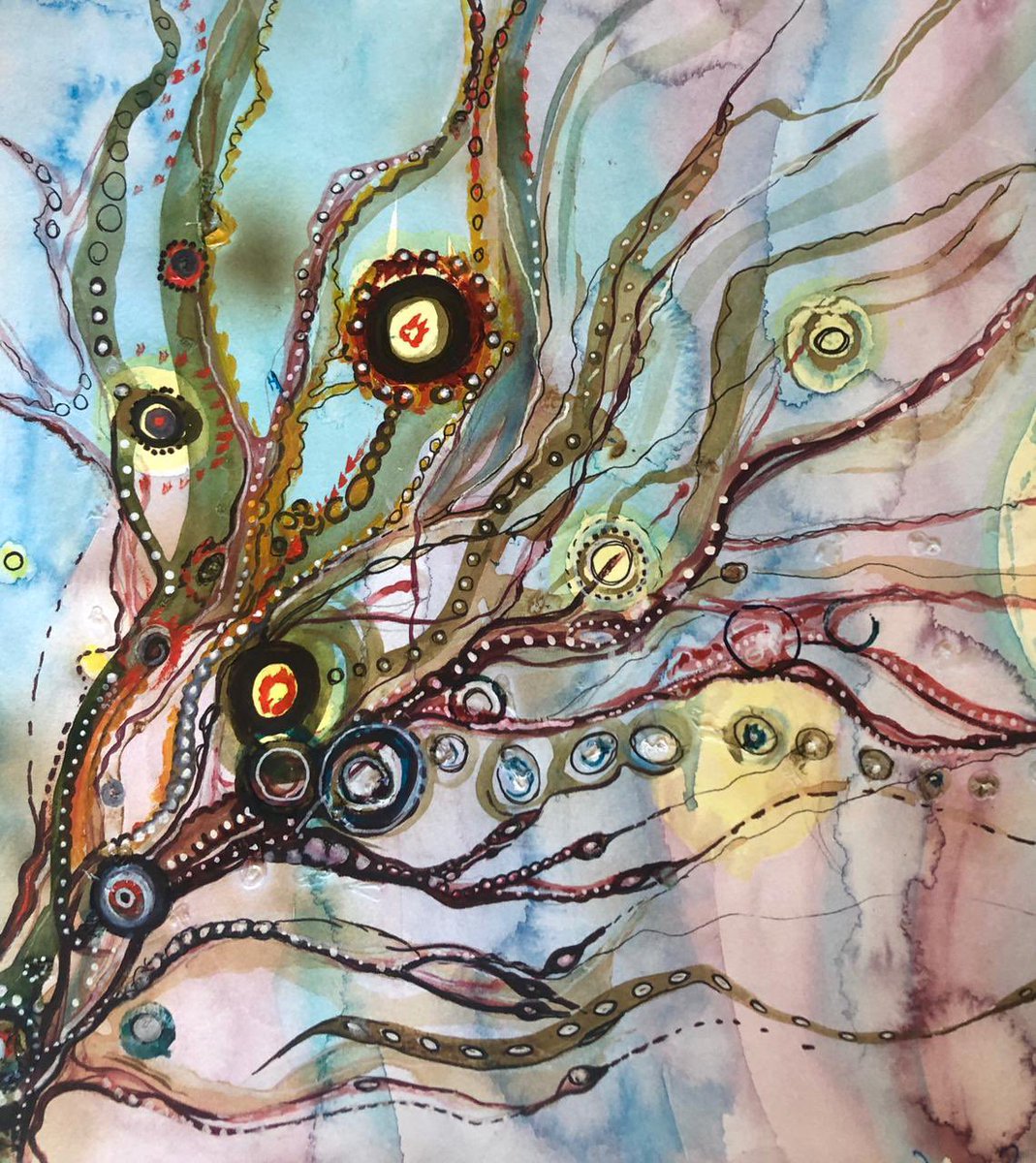 Inspired by her sea swimming here are just some of the amazing illustrations by the lovely Seagal Dawn Burrows. These &amp; many more in the ‘Patterns in Nature’ exhibition currently being held at the Harbour Gallery. 

#patternsinnature #harbourgallery #seaclearly #bluehealth