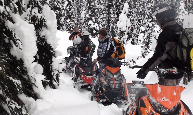 BCSnowmobile's tweet photo. "Here are some common mistakes that you can hopefully avoid." from our friends at @snoriders
https://t.co/q2oyp86TQb
#snowmobile #snowbike #commonmistakes https://t.co/PfP8YMMdVe