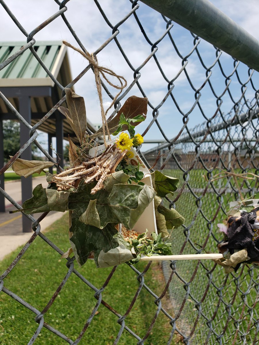flurry_lauren's tweet photo. For our Recycling project, we used recycled milk cartons and found natural resources to create bird feeders! @ViolaCobbElem @ChannelviewISD #Proud2beCVISD #VCERocks #CVISD #recycle https://t.co/Ita5D7xENS