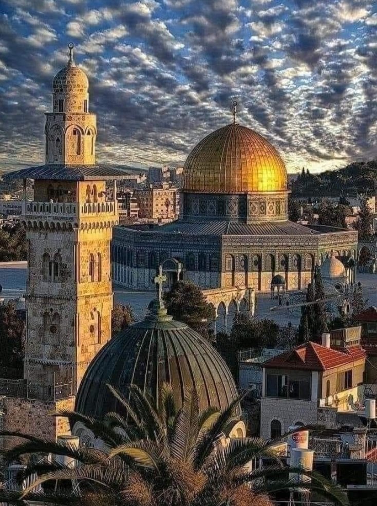 Mari___369's tweet photo. اللهم تولى فلسطين وأهل فلسطين وجرح فلسطين برحمتك وثباتك وعفوك وإحسانك🤍
#فلسطين_قضيه_الشرفاء 
#أنقذو_حي_الشيخ_جراح https://t.co/K3Oc1UgoOj