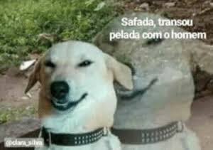 ourtoji's tweet photo. imagino o connie assim com a mikasa gravida https://t.co/MOEL35k0pR