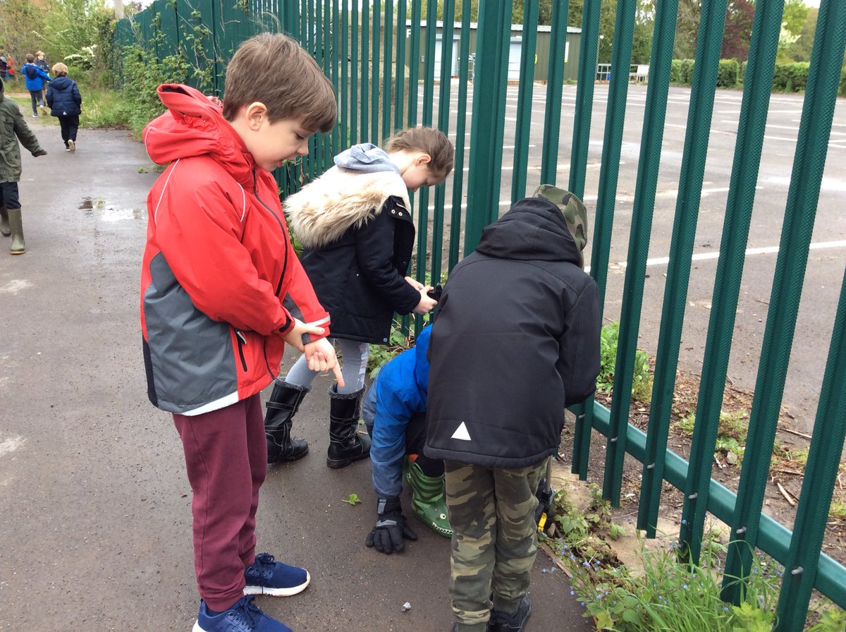 WillowClass_RE's tweet photo. We have had a FANTASTIC day in Willow Class today for our outdoor well-being day 😁🌿🍄🌷☀️We started the day with some litter picking around the outside of the school fence and community centre. https://t.co/RW2afOA4sL
