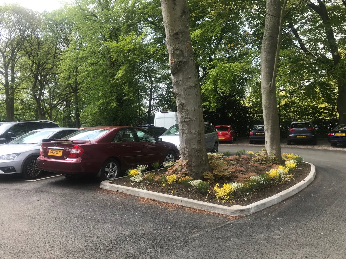 I actually find this ugly.  Heather and broom under mature trees hurts my eyes.