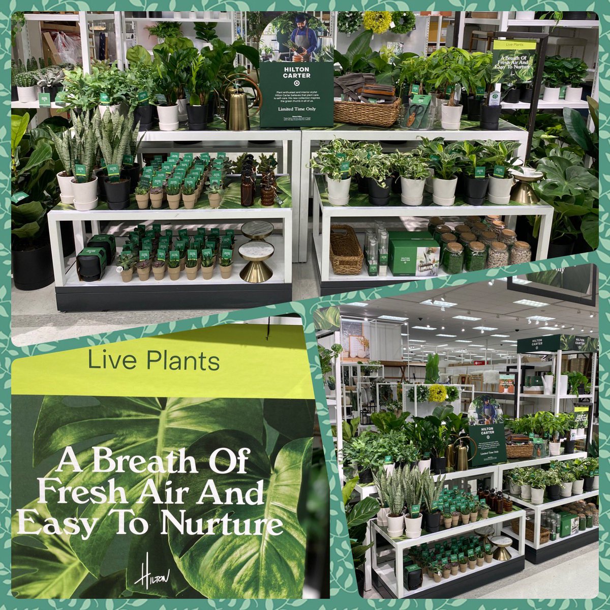 Cameron Clemens tweet media