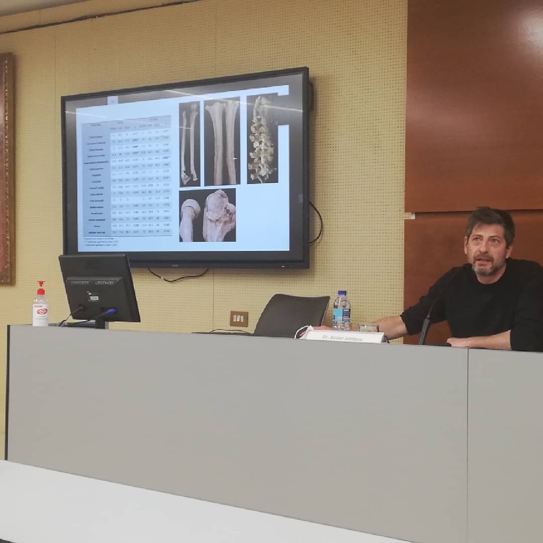 Museu de Terrassa tweet media
