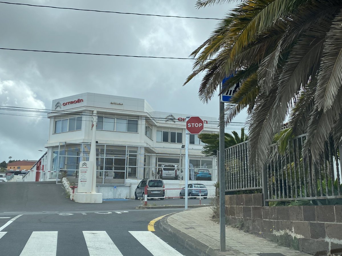 TenerifeVial's tweet photo. #IncidenciaVial - Señal vertical S-13 de situación de Paso de Peatones, nueva, ubicada bajo las ramas de palmeras en C/ Mayber #LaLaguna junto a #TF263 (de donde quitaron el STOP por falta de visibilidad) https://t.co/0naTLkOcuu