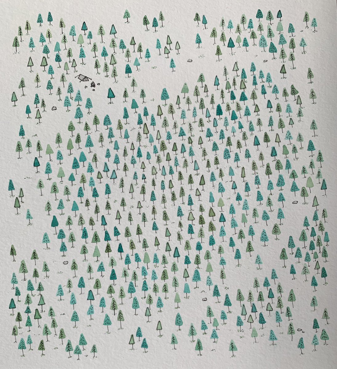 Happy Friday #colour_collective #LushMeadow #illustration #illustrator #kidlit #kidlitartist #picturebook #picturebookartist #scbwiillustrators #womeninillustration #trees #camp #camping #patterning #cortneybenvenutoillustration
