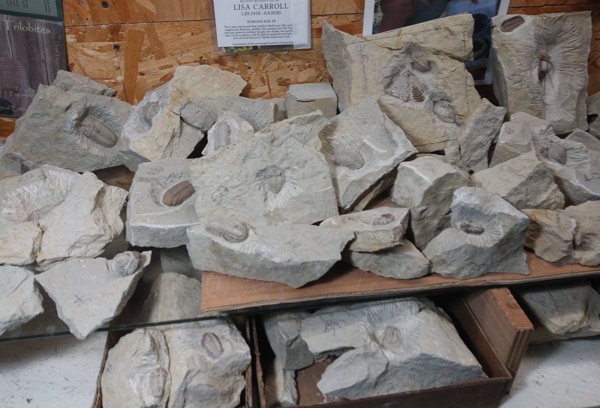 JohnRMoffitt's tweet photo. @StevenDJBaumann @ScottoftheBruce Not where I see the Middle Devonian. The #MiddleDevonian outcrops have NEVER produced a single second of boring for me. https://t.co/pawqiQIWKH