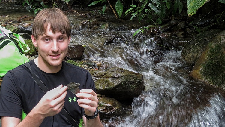 University of Toronto (@uoft) on Twitter photo Nature's scuba tanks? #UofT researchers from <a href="/EEBtoronto/">University of Toronto EEB</a> discover how Anolis lizards breathe underwater 🦎 uoft.me/6Jh Nature's scuba tanks? #UofT researchers from <a href="/EEBtoronto/">University of Toronto EEB</a> discover how Anolis lizards breathe underwater 🦎 uoft.me/6Jh