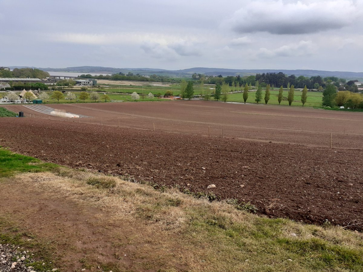 Waiting for John Dory and chips <a href="/dartsfarm/">Darts Farm</a>