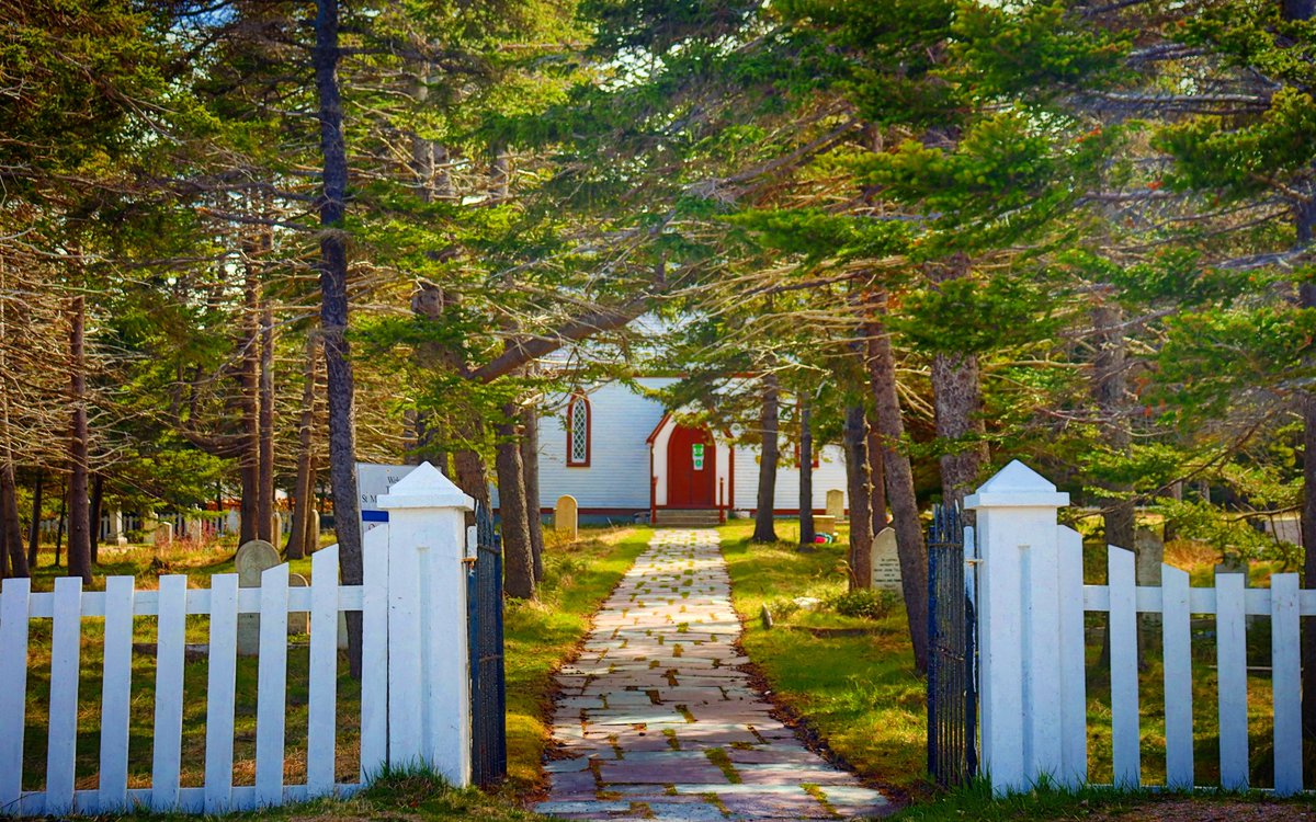 Friday afternoon shadows. 
Elliston, NL