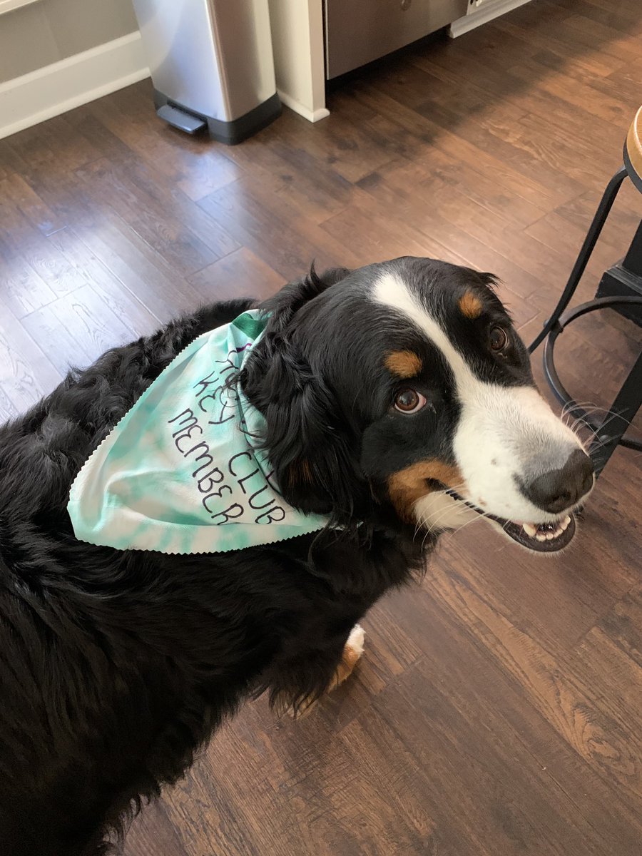 RochesterKey's tweet image. Our honorary Key Club member, Angel, wants to wish all the seniors an amazing last day of high school! She will carry on your Key Club legacy for you💙💙