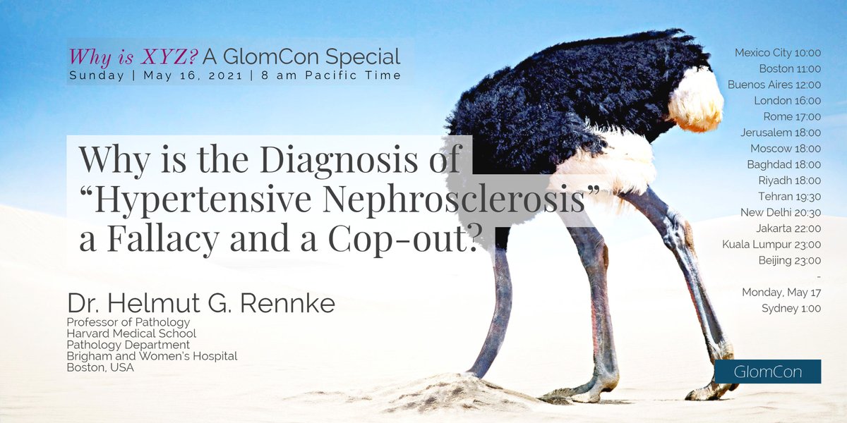 Why is XYZ

A GlomCon Special by Dr. Helmut Rennke

Episode 1 on Hypertensive Nephrosclerosis

glomcon.zoom.us
Mtng ID: 937 9592 6539
Passcode 202122

sign up for the newsletter
glomcon.us13.list-manage.com/subscribe?u=aa…