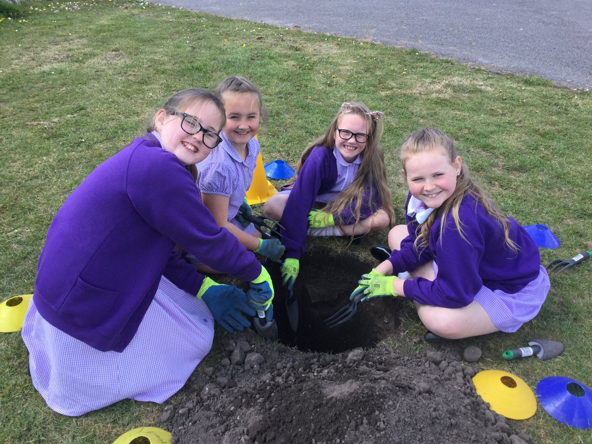 StBenedictsL30's tweet photo. Children in Year 4 have been busy planting trees which will one day provide food and shelter for birds in our #SharedHome project. 🌳🦅 🌳Thank you to @MetroMayorSteve for funding it through #GreenLCR #biodiversity https://t.co/e634MHjejt