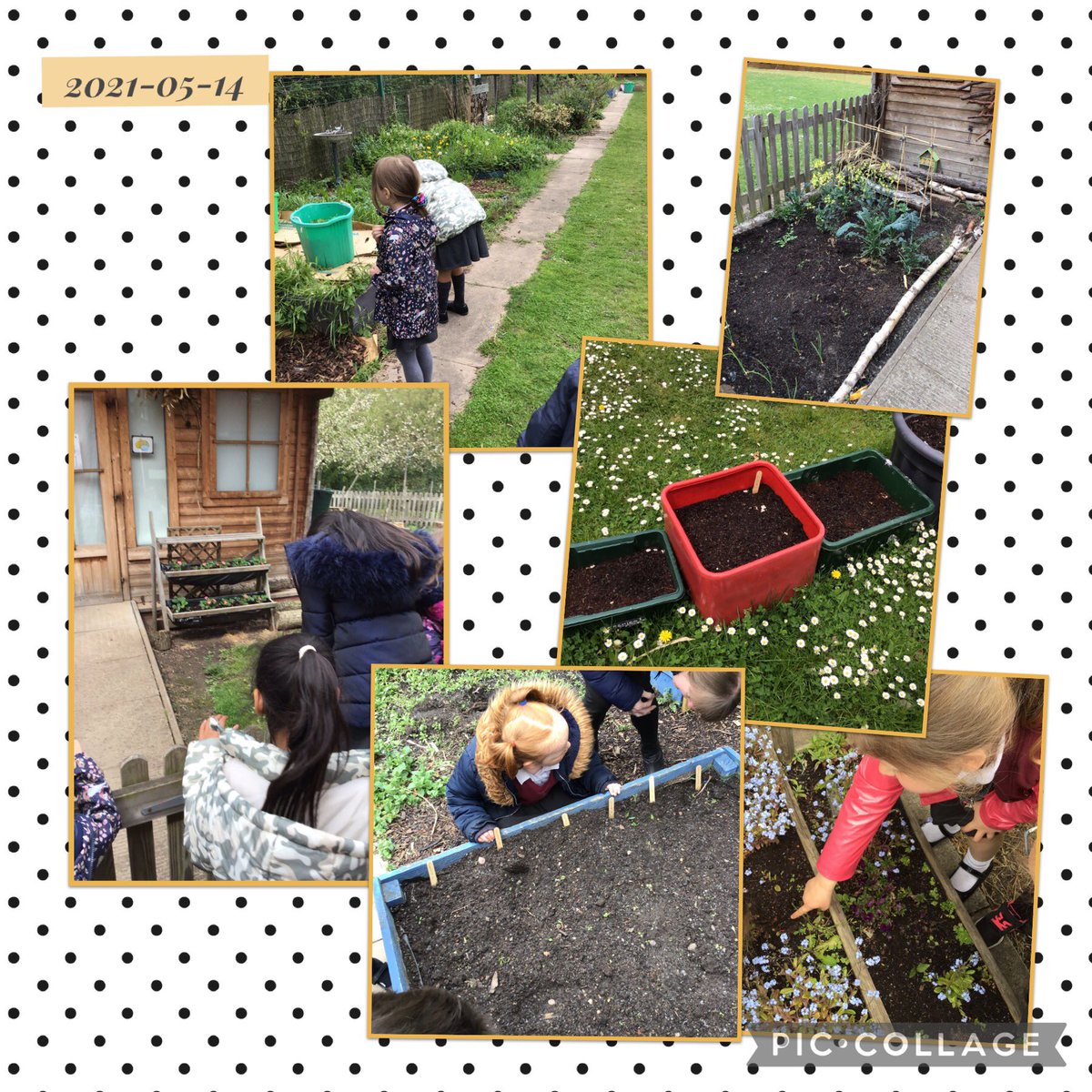 Y3Class1FPA's tweet photo. 1W loved finding different plants and trees that grow around our school on our walk this afternoon. #plants #science #MentalHealthAwarenessWeek @1Wfibbersley @FibParkAcademy https://t.co/aPC0GJ2s9Z