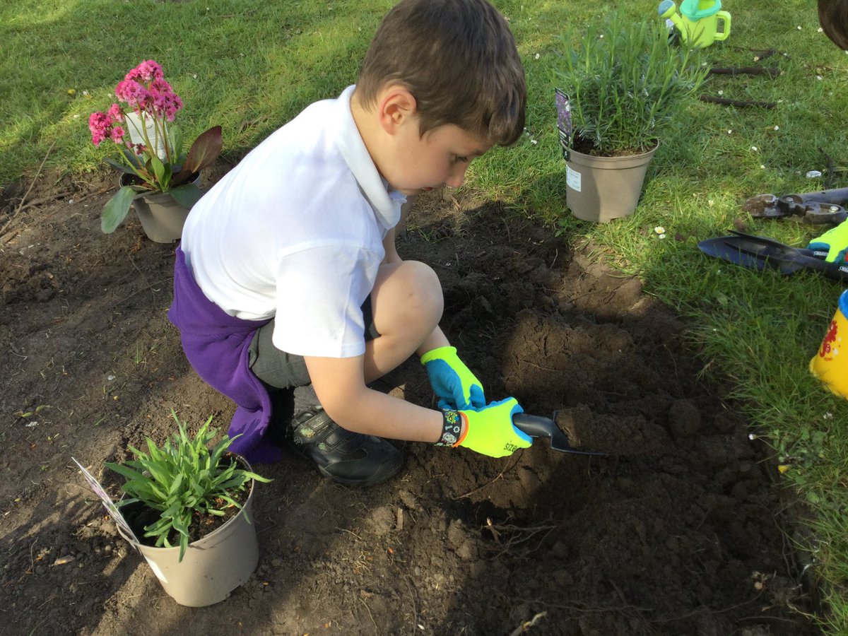 StBenedictsL30's tweet photo. Children in Year 2 have been busy creating a butterfly garden for our #SharedHome project. Thank you to @MetroMayorSteve for funding it through #GreenLCR #biodiversity https://t.co/nRbfKh79D6