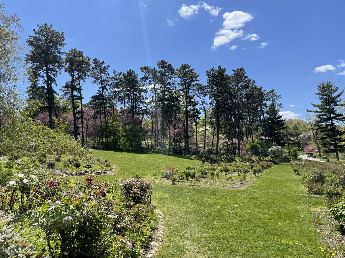 buddhake's tweet photo. Spring in the Midwest is hard to beat #miwx #thearb https://t.co/2GWnU8x3vc