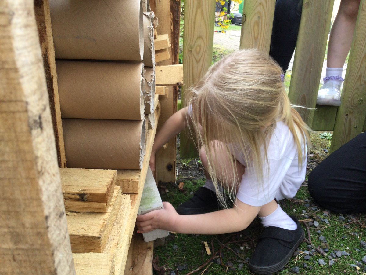 StBenedictsL30's tweet photo. Children in Nursery and Reception have been busy creating a bug hotel to provide a home for wildlife in our #SharedHome project. 🪲🐛🐞Thank you to @MetroMayorSteve for funding it through #GreenLCR #biodiversity https://t.co/WZQUNr3y5J