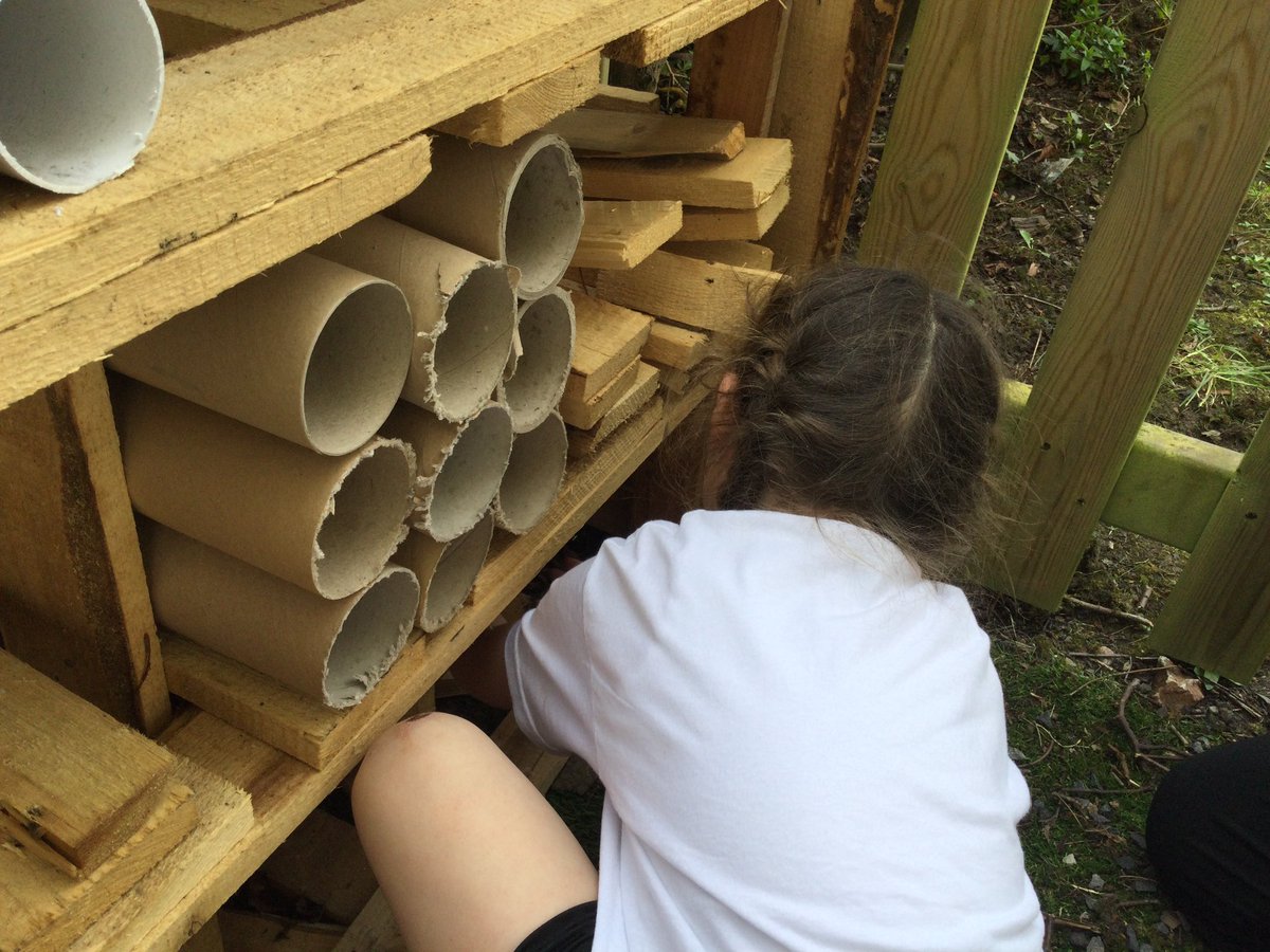StBenedictsL30's tweet photo. Children in Nursery and Reception have been busy creating a bug hotel to provide a home for wildlife in our #SharedHome project. 🪲🐛🐞Thank you to @MetroMayorSteve for funding it through #GreenLCR #biodiversity https://t.co/WZQUNr3y5J
