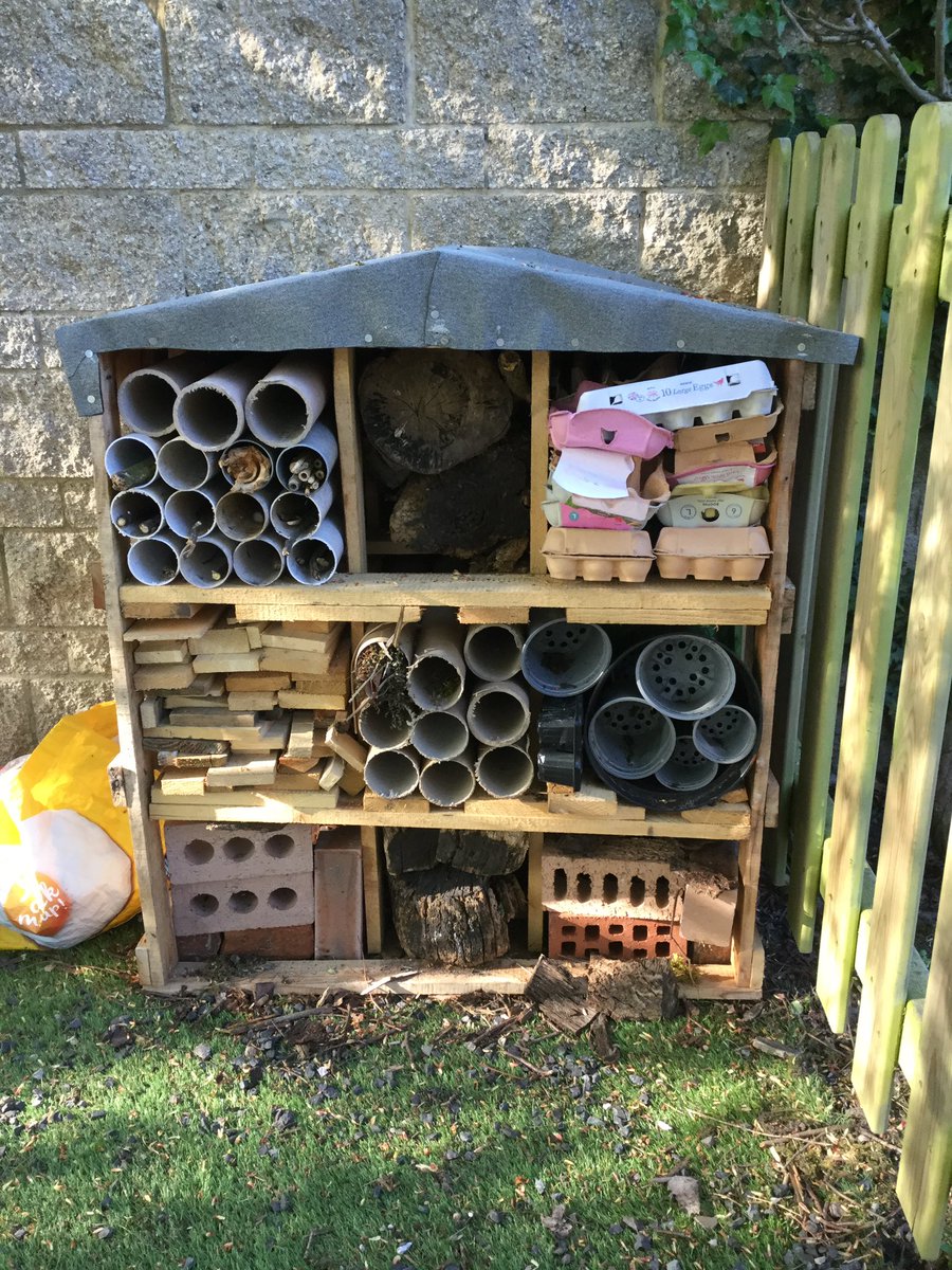 Children in Nursery and Reception have been busy creating a bug hotel to provide a home for wildlife in our #SharedHome project. 🪲🐛🐞Thank you to @MetroMayorSteve for funding it through #GreenLCR #biodiversity
