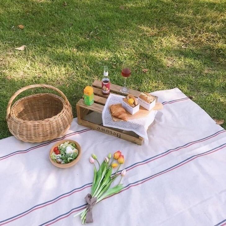 piinkibun's tweet photo. picnic dates https://t.co/bqZ01HNbjT