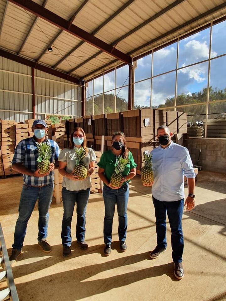 Autoridad de Tierras (autoridadtierra) Twitter