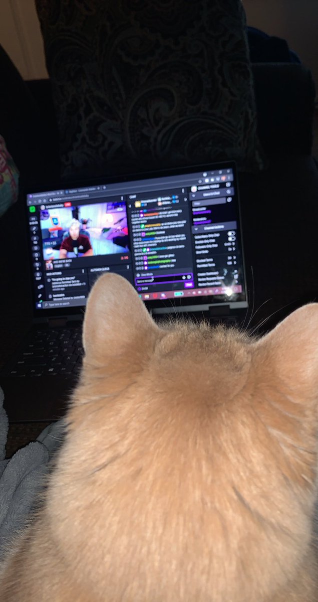 #wemissedyoubrian look my cat is modding with me teehee <a href="/brianterada/">brian terada</a>