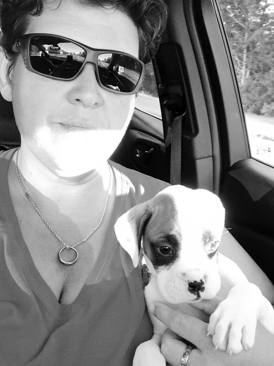My new riding partner, Roxy 💕. #boxershavemyheart