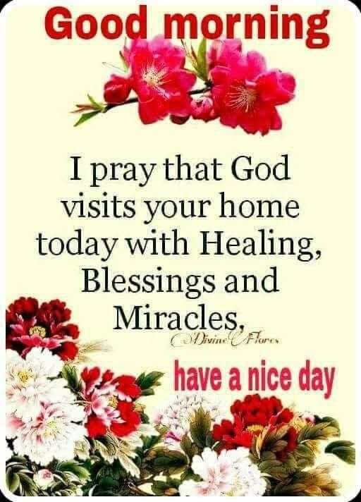 MichaellPhilip2's tweet photo. Good morning to you all friend https://t.co/TUseNN9rO4
