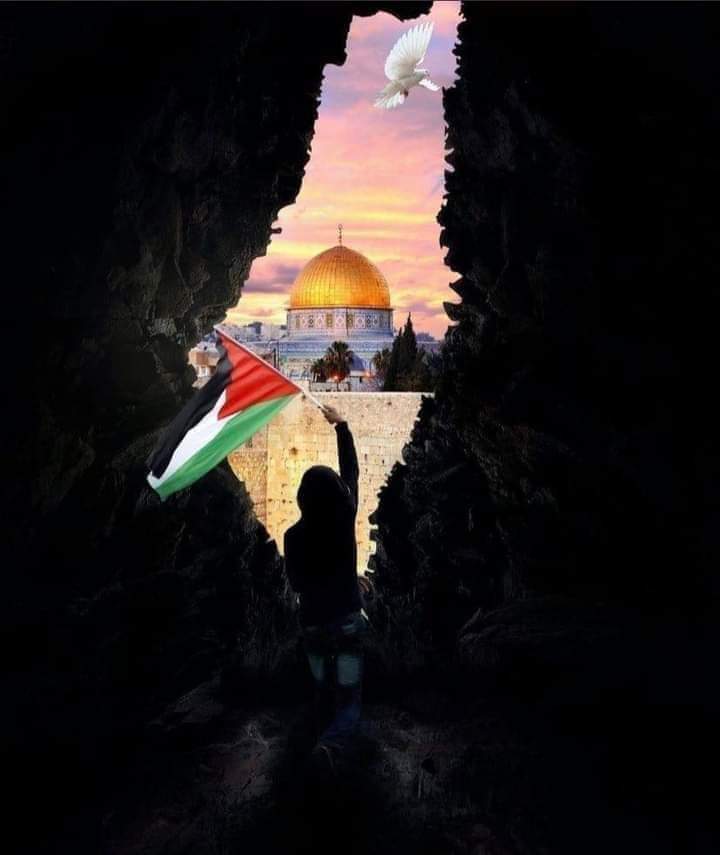Hasnaa29787363's tweet photo. Our heart , blood , soul and all kinds of support for Palestine 💙💚🇵🇸🇵🇸🇵🇸
#انا_مصري_ودمي_فلسطيني https://t.co/yABEnxxyDl