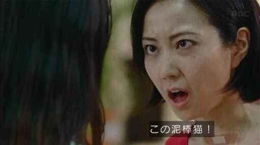 @north723 こう言うことですね。 