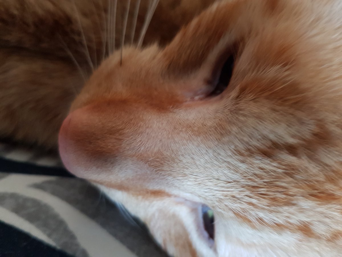 Coremaster23's tweet image. gunky