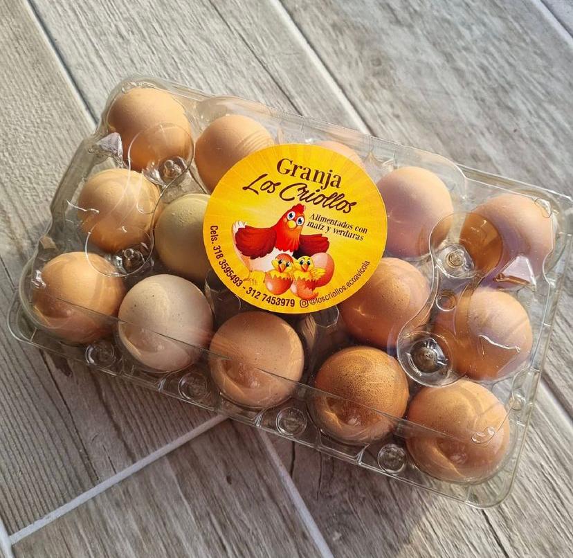 bgacompralocal's tweet photo. Desde la vereda san pedro entrando por el matadero, despues de colorados, nos ofrecen huevos 100% criollos, gallinas libres de jaula, libres de antibióticos

Les su telefono para pedidos: 3006812474

#bucaramanga https://t.co/gYnf1e1F6v