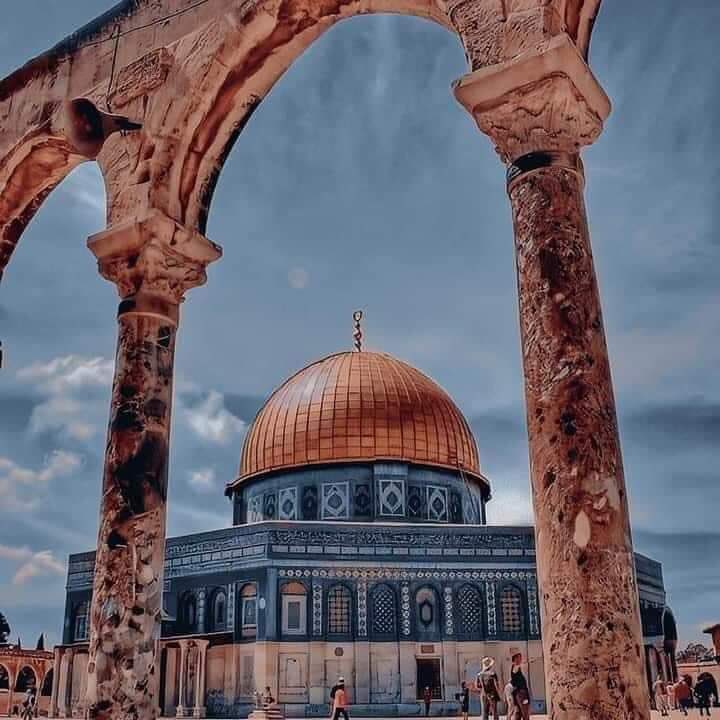 اللهم أنصر عبادك في فلسطين 🇪🇬