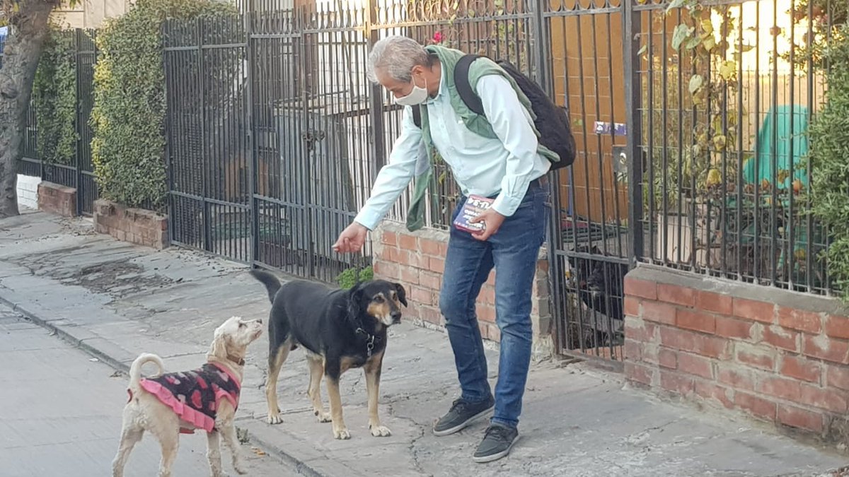 AguilarMario's tweet photo. Creo que el espíritu del "negro matapacos" nos acompañó en nuestra campaña constituyente en el #Distrito8. Fueron muchos perritos que nos salieron a saludar y algunos nos acompañaban varias cuadras. Sin duda el electorado perruno está con nosotros.

#ElProfeConstituyente
#YU34 https://t.co/N4tnf53INo