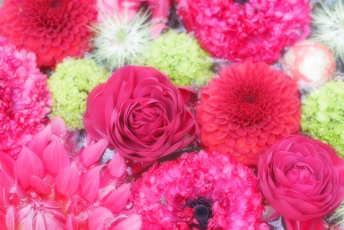 花手水weekのtwitterイラスト検索結果