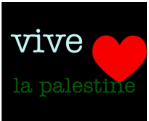 ValValou9's tweet photo. @le_Parisien Bravo soutien aux palestiniens https://t.co/YBDyu4QjYv
