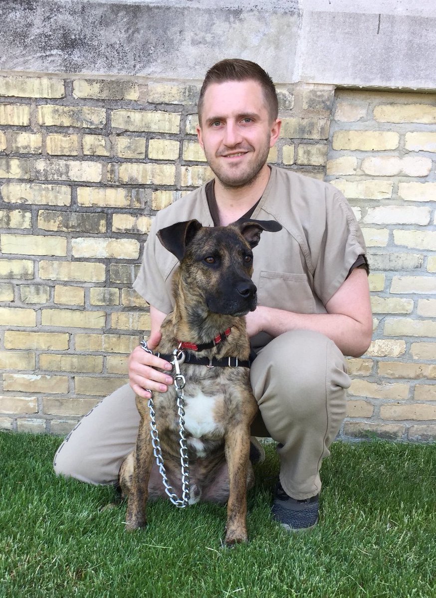 RockSheriffWI's tweet image. Bruno, our current Canine Corrections Academy trainee, and his main handler are getting ready for the Canine Good Citizenship test in the near future.  Bruno has learned a lot and is eager to show off his skills!  #humanesocietyofsouthernwi #RockCountySheriffsOffice