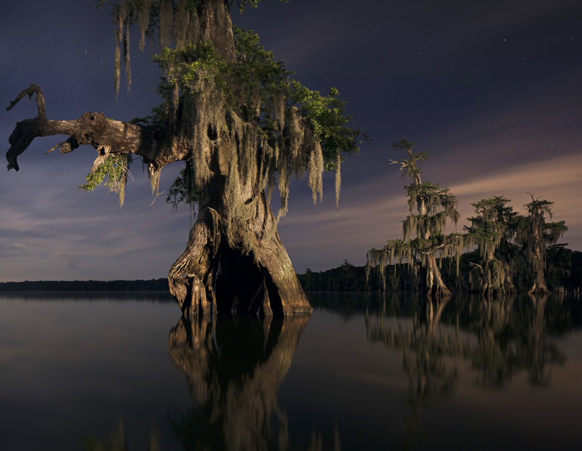 Are we marching maskless into the weekend?