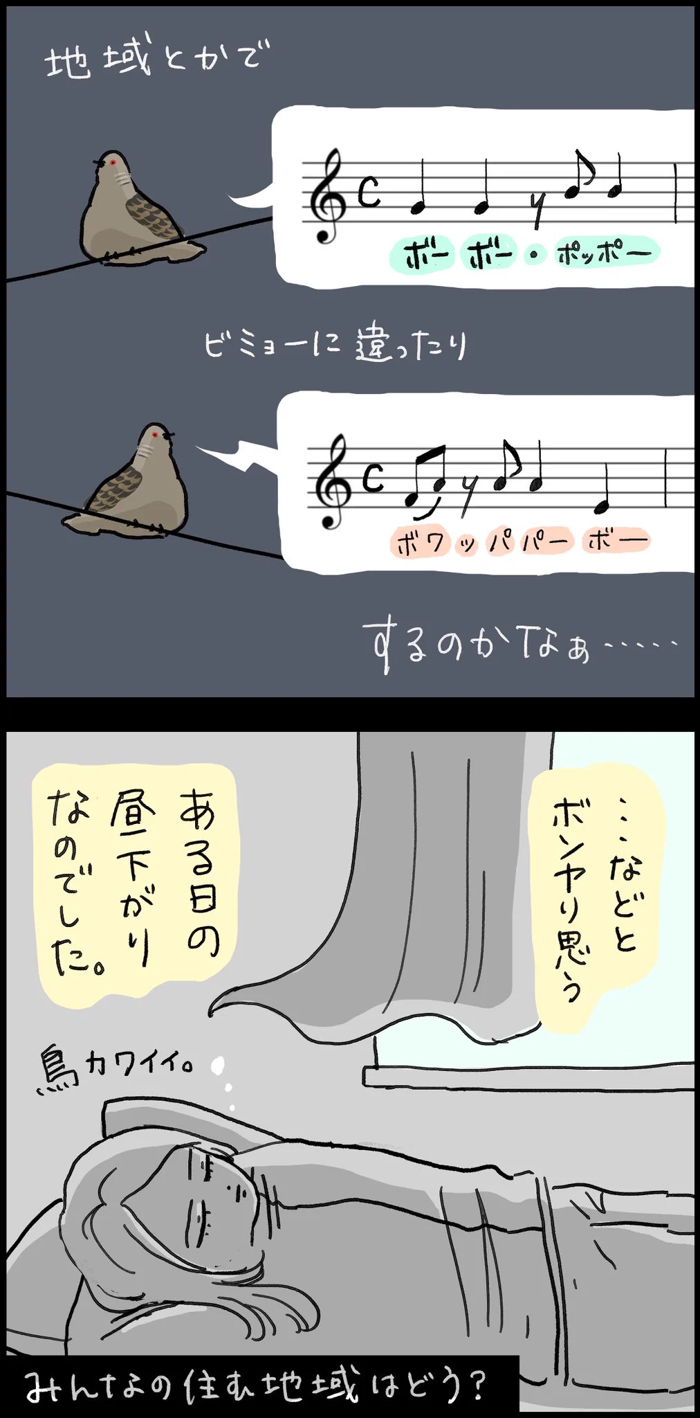 実は地域によって鳴き声が違う？！キジバトの鳴き声に関するお話！