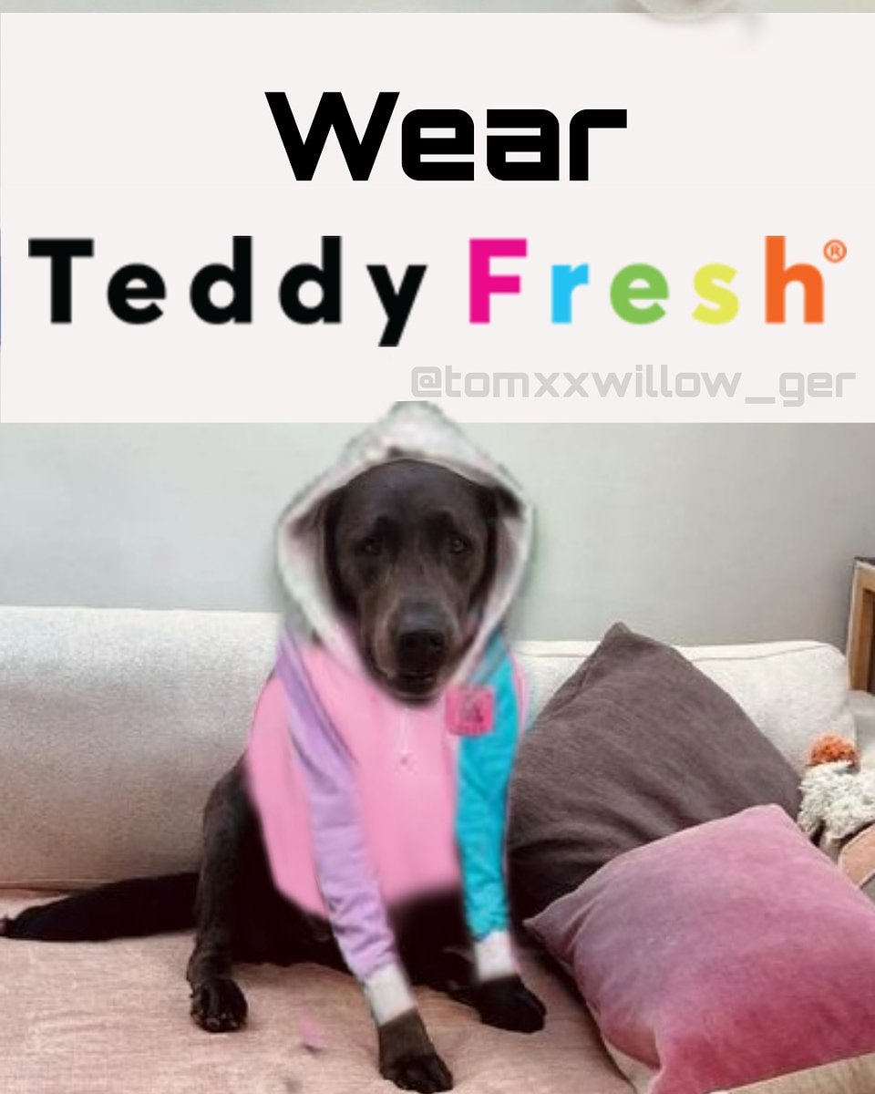 Legacy22_ger's tweet photo. We've had baby Willow wearing @teddyfresh, but what about the grown up Wills? ❤️ @TomFelton #teddyfresh #tomfelton #feltforce #WillowForPresident https://t.co/zpF48BUn5M