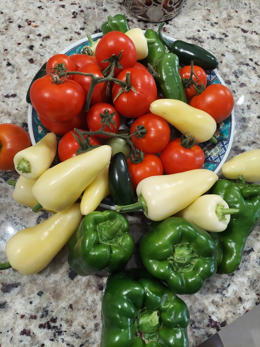 threejaye's tweet image. Fresh from my pots.  A salad is on its way.