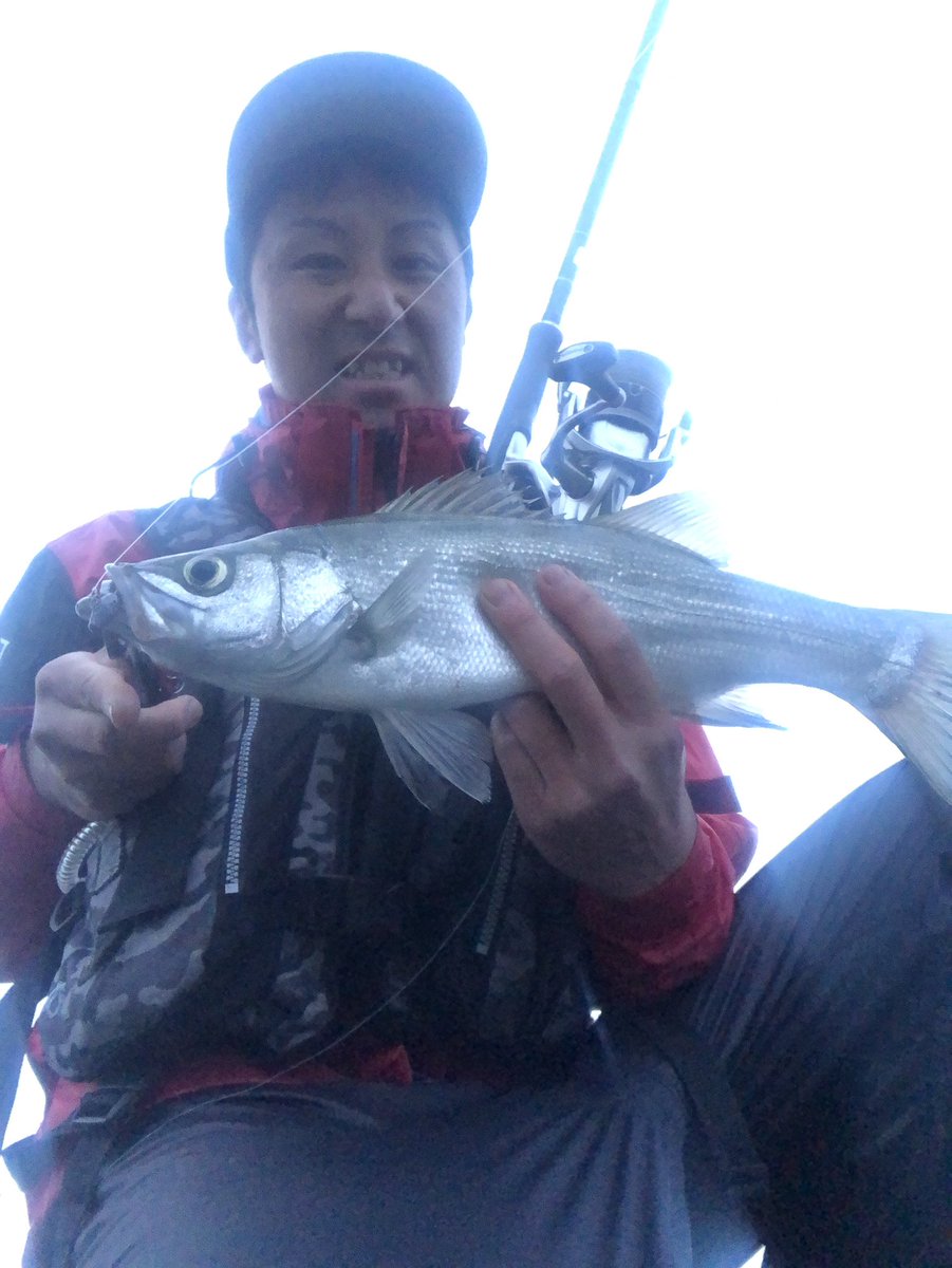 hiro54011408's tweet photo. おはヒラ😆
#fisharrow #flashj https://t.co/bFuG0Uiw8E