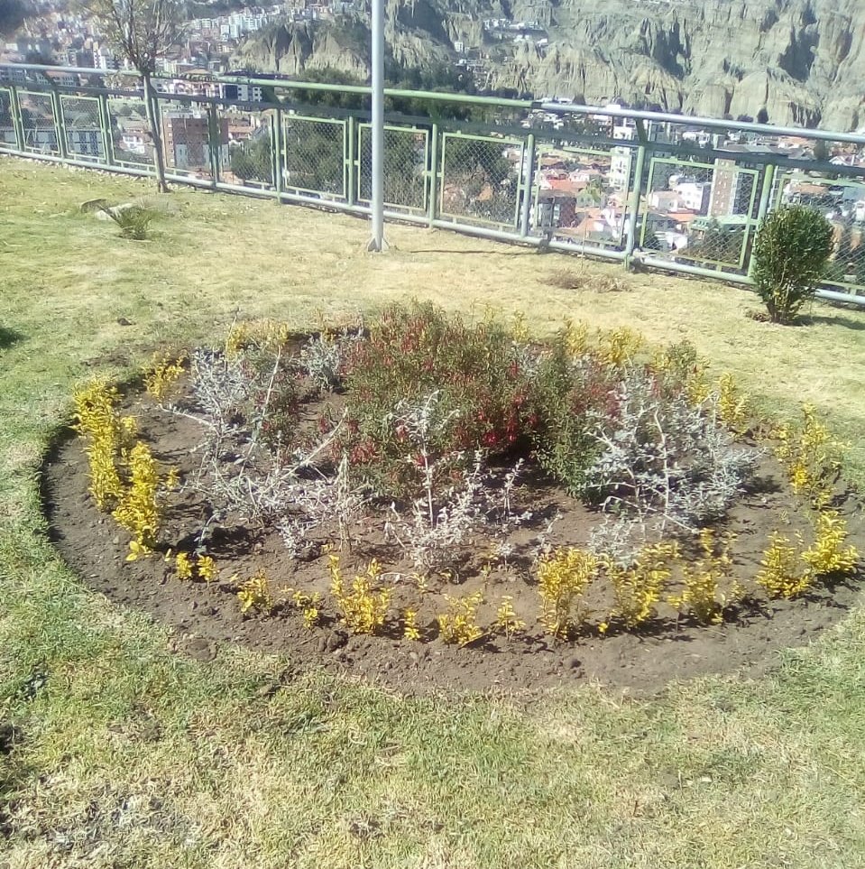 Dirección de Empresas, Entidades y Servicios tweet media