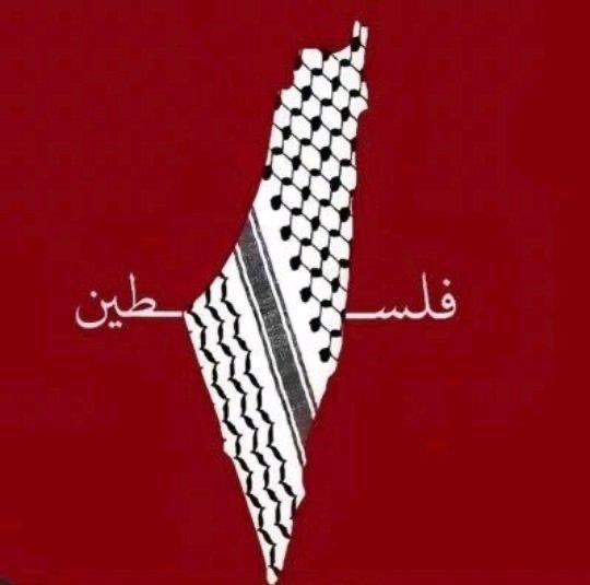 renad_m3's tweet photo. #فلسطين_ليست_قضيتي
بل قضيتي وقضية بلادي الأولى منذ عهد الملك المؤسس عبدالعزيز رحمه الله مرورًا بملوكنا جميعًا رحمهم الله انتهاءًا بملكنا مولاي خادم الحرمين الشريفين الملك سلمان حفظه الله وحفظ ولي عهده.. ولن يغير موقفنا حقد جاحد .. مواقفنا لوجه الله وليست ردة فعل لتجار القضية https://t.co/c8NGiW399P