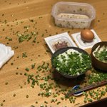 ついついやってしまう？うっかりネギをばらまき家の中で緊急事態宣言!