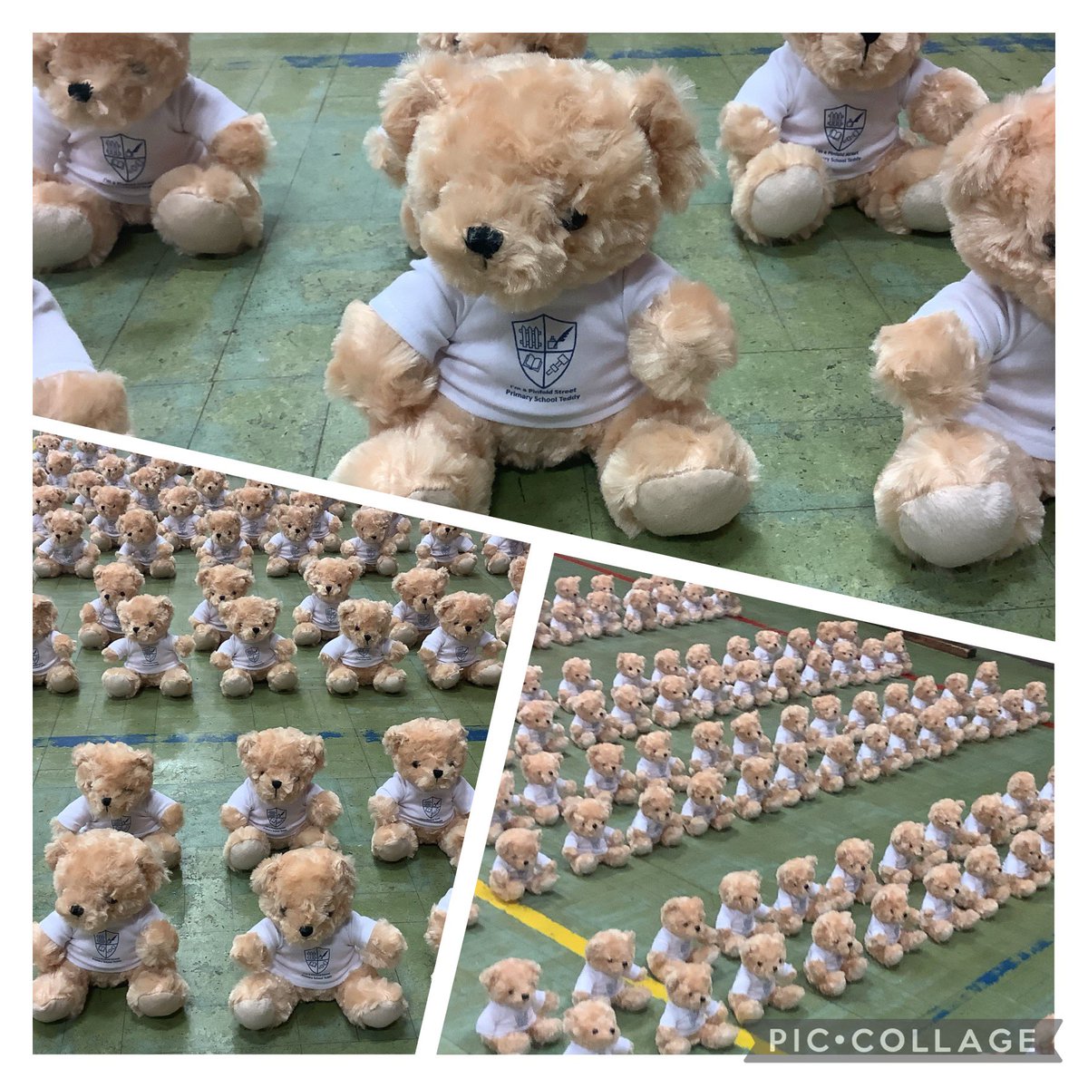 PinfoldStreet's tweet photo. What a fantastic day to end #MentalHealthAwarenessWeek! 💙

During assembly today, Mrs Beech introduced the Pinfold teddies. 🧸

Everyone has taken home their own teddy to help when they are feeling a bit down/sad.

#mentalhealth #teddy #bekind #TeamPinfold #MHAW2021 #wellbeing https://t.co/1erYVD5Dav