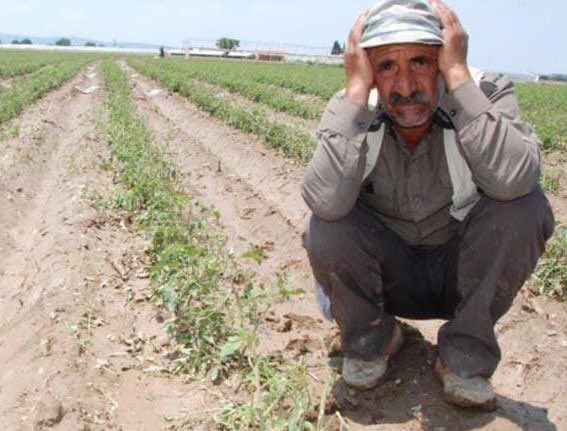 #HelalEtmiyorum

Bunun Borcunu    /    Buna Haciz
Silenler                       Gönderdiler