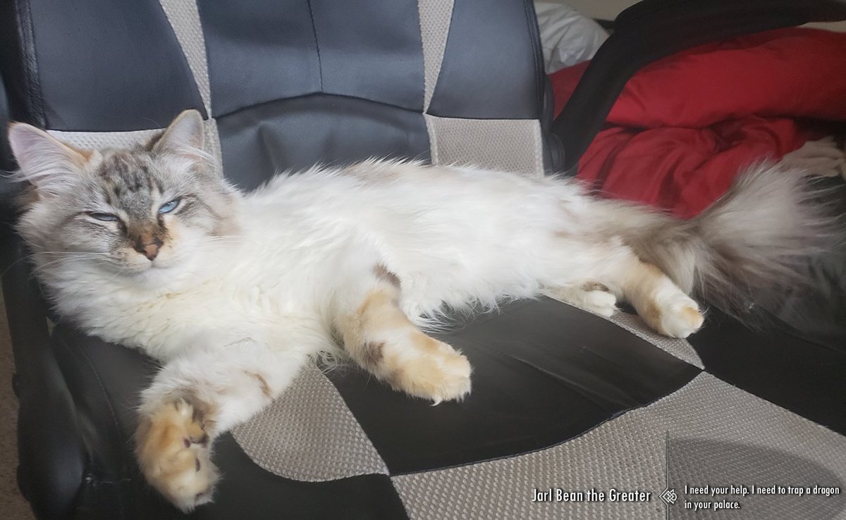 SydMeeker's tweet image. life imitates art