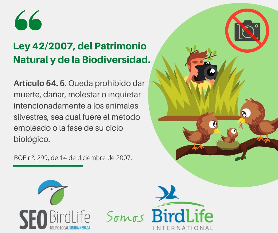 SEOSierraNevada's tweet photo. Estamos en plena época de cría en las aves y queremos hace un recordatorio.
La Ley 42/2007 Patrimonio Natural y Biodiversidad prohíbe causarles molestias de cualquier tipo. a los animales silvestres.
#SOSnidos
@SEO_BirdLife 
@DarwinEventur 
@policiandalucia 
@AAMM_And https://t.co/Jb9IQfpZhB
